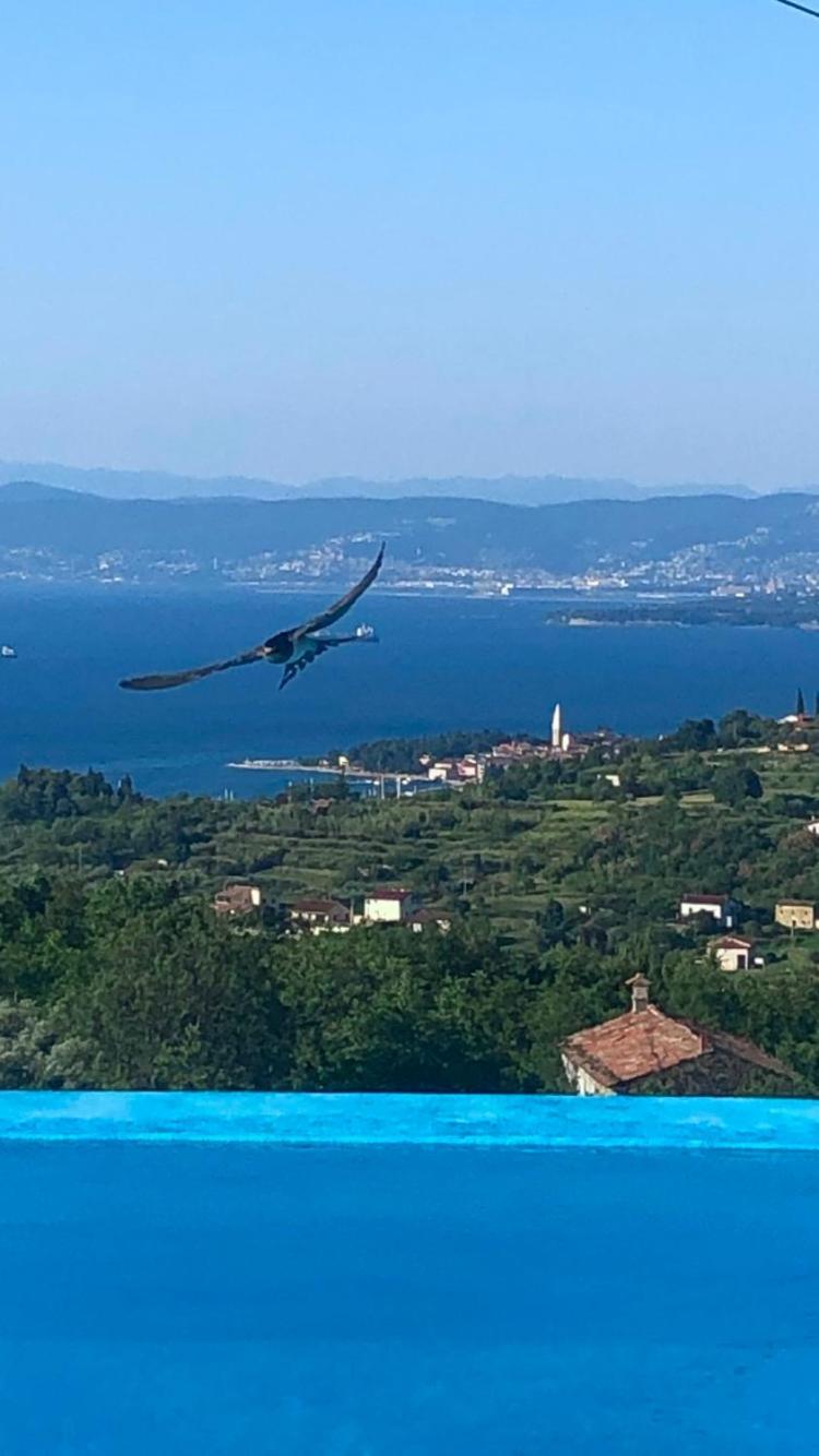Apartmaji Meli Pu Izola Luaran gambar